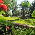 Kayserkaya İzmir