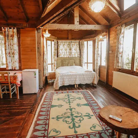 Kayserkaya Otel 4*