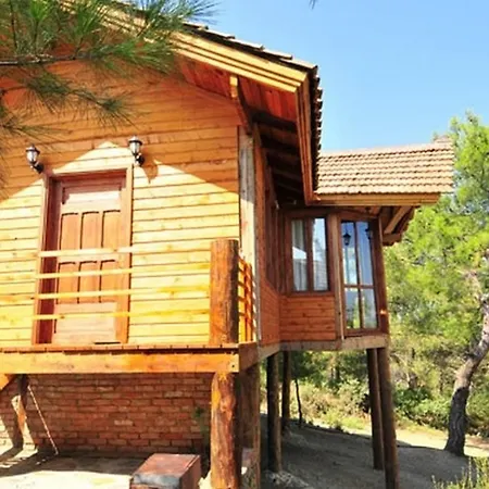 Kayserkaya