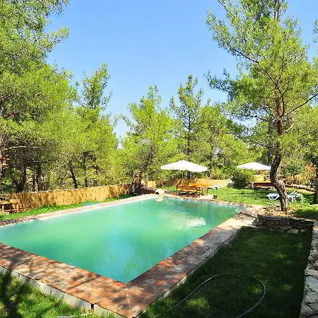 Kayserkaya