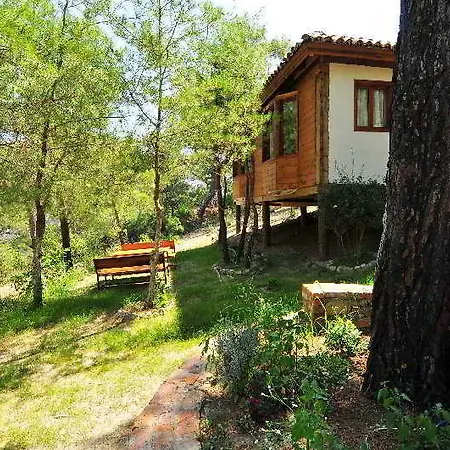 Kayserkaya 4* Smirne