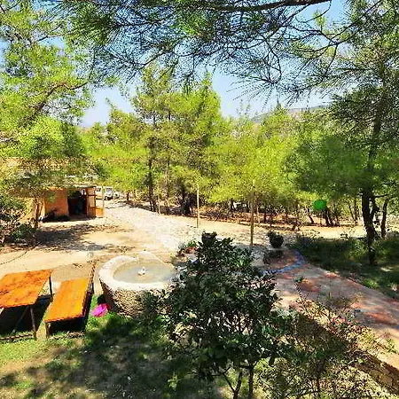 Kayserkaya 4*