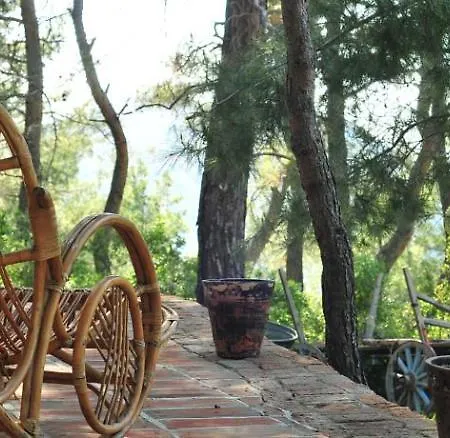 Hotel Kayserkaya 4*
