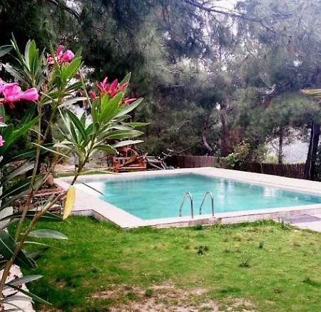 Kayserkaya