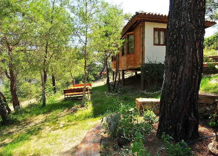 Kayserkaya 4* İzmir