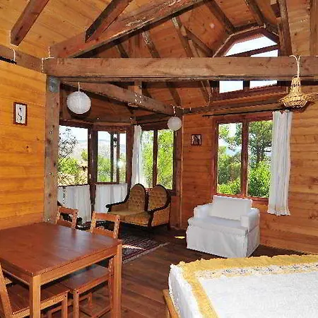 Ξενοδοχείο Kayserkaya 4*